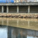 소홍모 마라탕 이미지