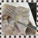 영산포 홍어맛집 추천 1단계 숙성 후기 신선도!