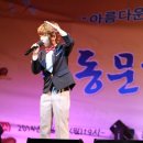 화순군청 주차장 Daum카페