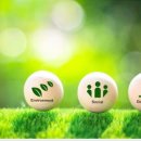 더메디칼 이미지