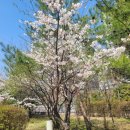 흥덕신동아공인중개사사무소 이미지