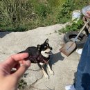 트릿츄잇 이미지