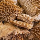 숯불막창구이 이미지