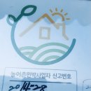 바담채 민박 네이버블로그