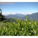 복수농장 이미지