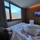 디엘린산후조리원 이미지