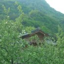 당포민박 이미지