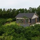 스테이3355 이미지