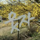 도립리 육괴정 이미지