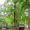 허균,허난설헌기념관 이미지