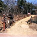 솔마루길 대공원산 이미지