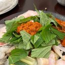 쭈꾸미도사 티스토리