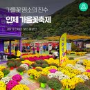 꽃길만걷자6 | 인제 꽃길만 걷자 축제, 가을꽃 명소의 진수 [인제 가볼만한곳]