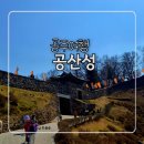 금강 | 공주 공산성 봄 나들이 후기 | 금강 뷰 산책코스 제대로 즐기고 온 날 팁공유