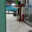미스고미용실