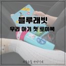 여름 바캉스 필수템 밖에서도 빛나는 블루래빗 여름 외출 육아 후기