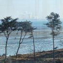 미래상담 행정사 사무소 이미지