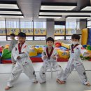 다산태권도 명인태권도장 이미지