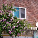 단성면사무소 이미지