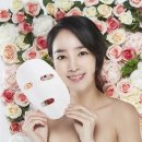 오월의신부 서울신문