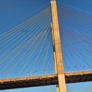 낭만의거리 | 여수 밤바다의 낭만 가득! 여수 낭만포차거리 솔직 방문 후기 (돌문어삼합 &amp; 낙지호롱이)