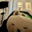 니드윤