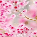 참새 다락방 이미지