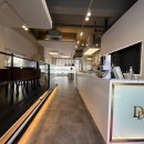 디디펫 수원강아지분양 이미지