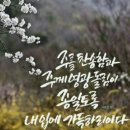 에벤에셀 이미지