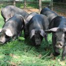 신례2리 마을회관 이미지