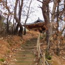 11/14(토)금강물길 따라 양산팔경둘레길과 영국사 은행나무의 황금빛 가을 이미지