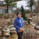 차항1리경로당 이미지