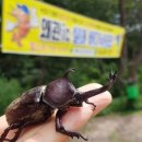 왜관ic실내바다낚시터 이미지