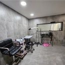 댕스라지 이미지