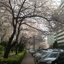 고속터미널앞 이미지