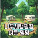 장지기 | 포천 나무새캠핑장 카라반 명당, 여름철 피서지로 딱이네요!