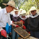 일자산자연공원(도시농업공원) 이미지