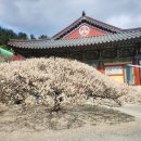 자산동167 이미지