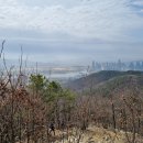 국책연구단지 북측 버스정류장 이미지