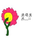 포항월드킹월드킹 이미지