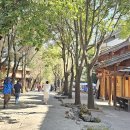 사시마을 이미지