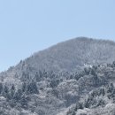 유명산춘천숯불닭갈비
