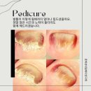 한밭대로 이미지