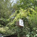 이매로 | 분당 이매 애견동반 카페 종화 감도 높은 바닐라라떼 맛집다녀온 후기