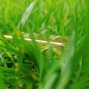 지에스25 서산해미점 이미지