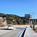 해파랑길 49코스 이미지