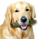 A플러스덴탈 이미지