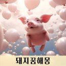 돼지꿈 - 장흥군 동교3길 28 | 돼지꿈