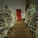 제이문 | [서울] 스누피 + 제이닷트리 크리스마스 팝업 🐶🎄내돈내산 애견동반 후기 (주차정보)