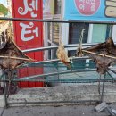 묵호시장 이미지